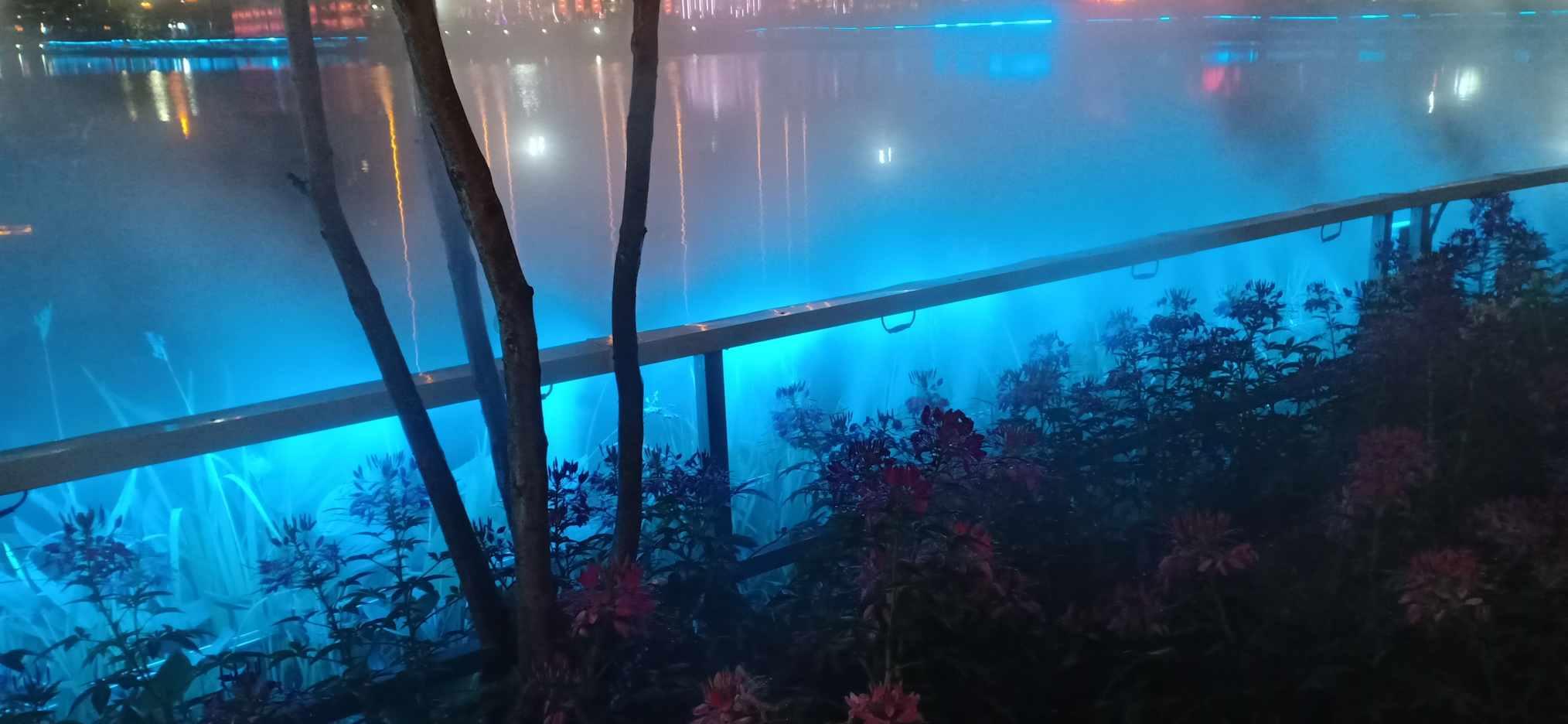 逃离逃犯藏身之处